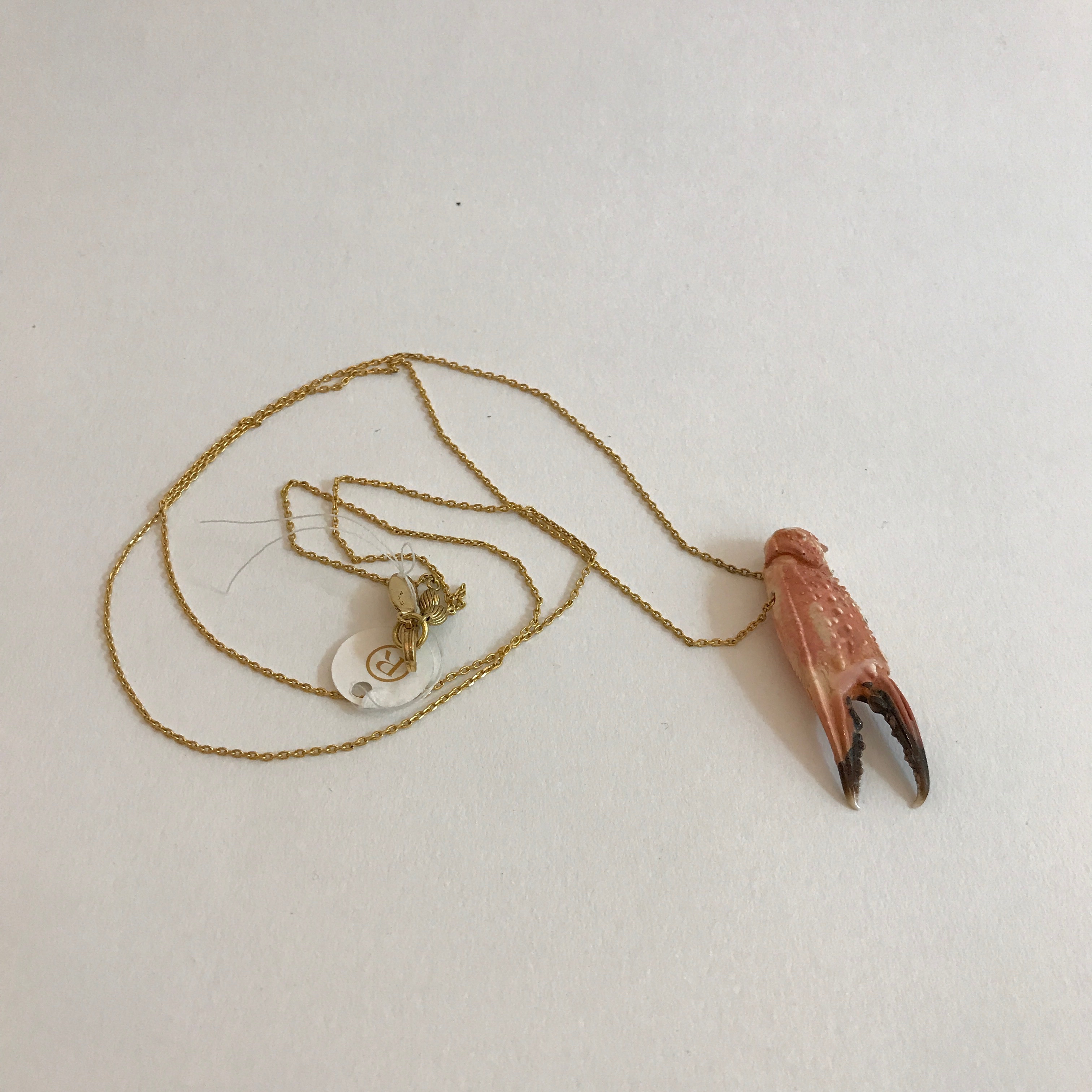 Crab claw on gold-plated necklace by Petra Reijrink Jewelry
