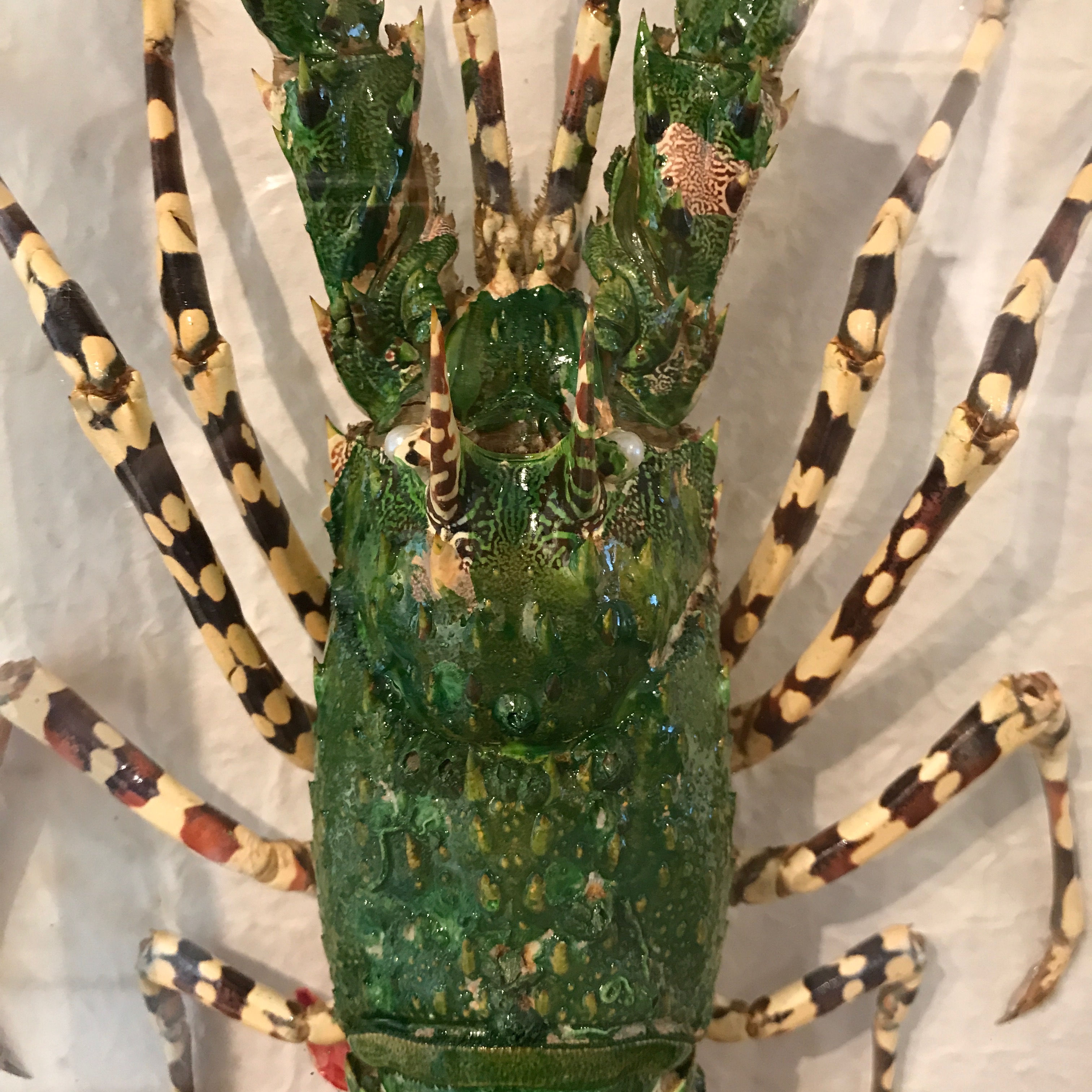 Green lobster